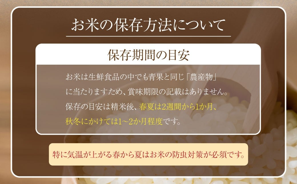 【令和7年産】 福岡県産 夢つくし 無洗米 5kg ／ ゆめつくし お米 米 ご飯 ブランド米 九州 福岡県 岡垣町