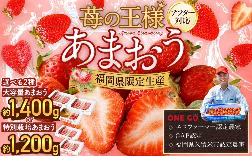 【予約受付】大容量あまおう 1,400g 大粒 不揃い 選べる大容量あまおう （2L,グランデ,DX デラックス）減農薬 あまおう いちご 高級 いちごあまおう イチゴ 苺 フルーツ 果物 ふるさと納税くだもの amaou 福岡県  【2026年3月上旬～下旬発送予定】