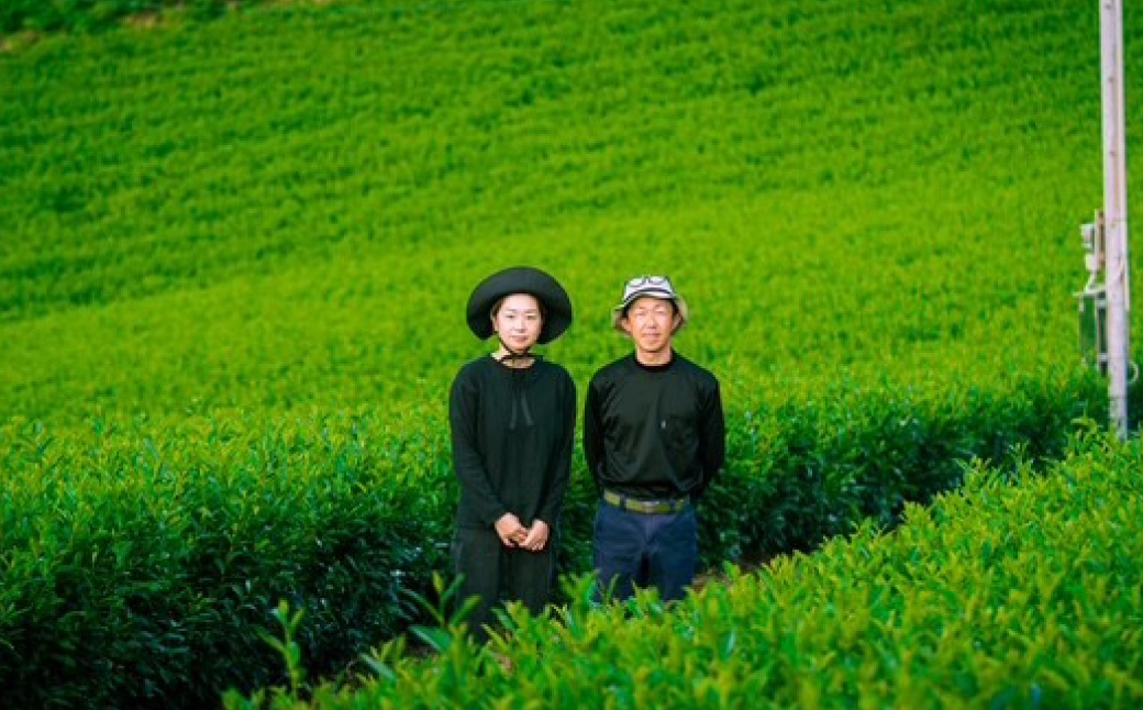 八女茶 Rooji＋ 和紅茶ティーバッグ × 3個 お茶 和紅茶 緑茶 ティーバッグ 国産 福岡県産 紅茶