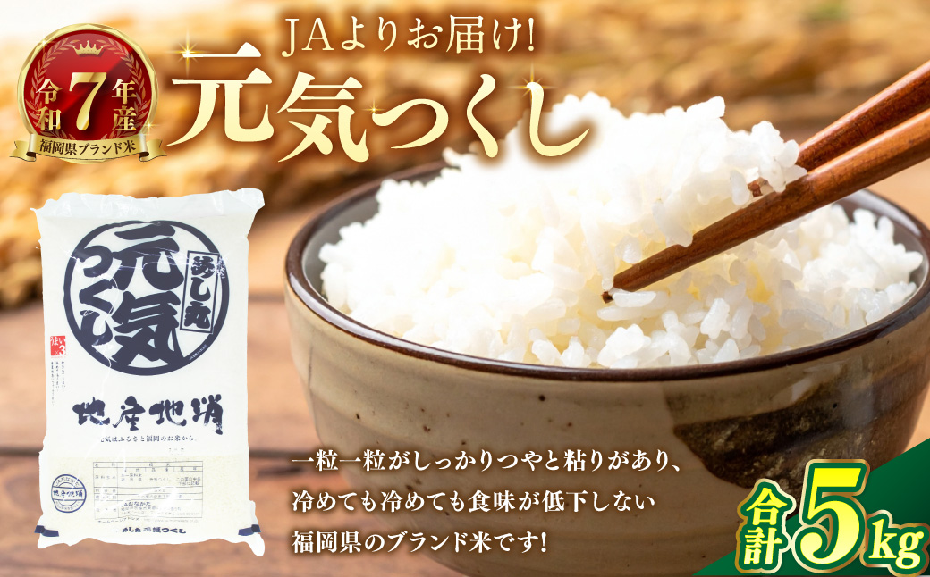 【令和7年産】JAよりお届け！福岡県ブランド米「元気つくし」5kg 米 お米 こめ コメ ご飯 ごはん 元気つくし 福岡県産 国産 5kg 精米 ブランド米