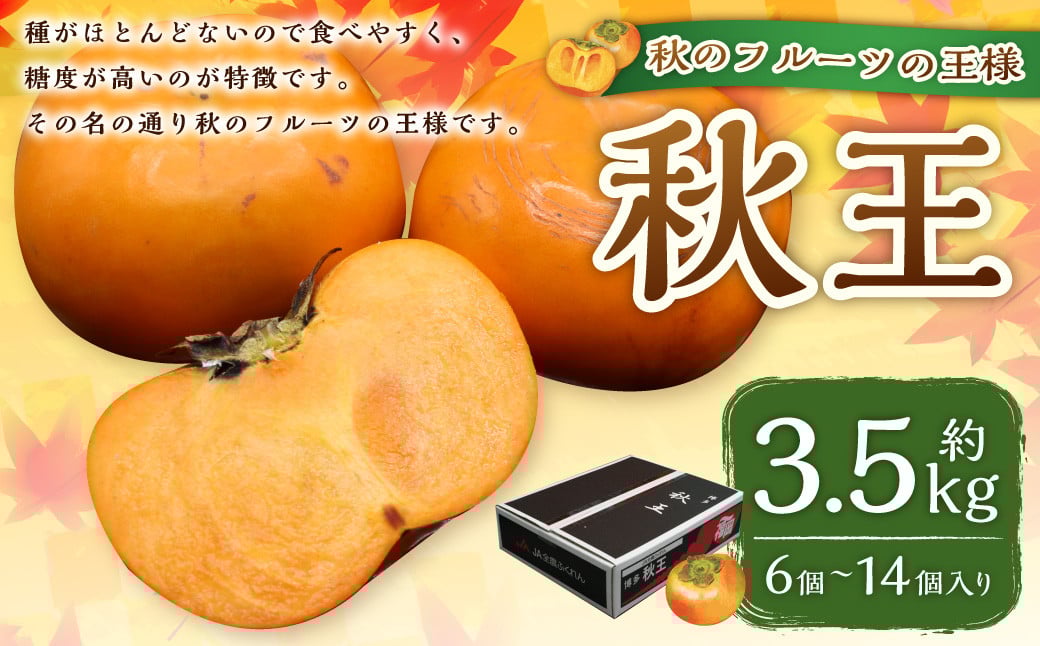 ブランド柿「秋王」約3.5kg 柿 カキ かき 果物 くだもの フルーツ 【2025年10月下旬～11月下旬発送予定】