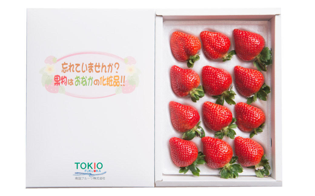 福岡県産あまおう ギフト箱 24-30粒 いちご 苺 イチゴ くだもの 果物 フルーツ 冷蔵 【2025年12月上旬～2026年3月下旬発送予定】