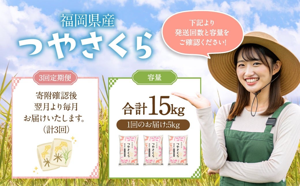 【3ヶ月定期便】福岡県産つやさくら 5kg 岡垣町 ふるさと納税返礼品 お米 こめ 精米 ご飯 ごはん 国産 定期便