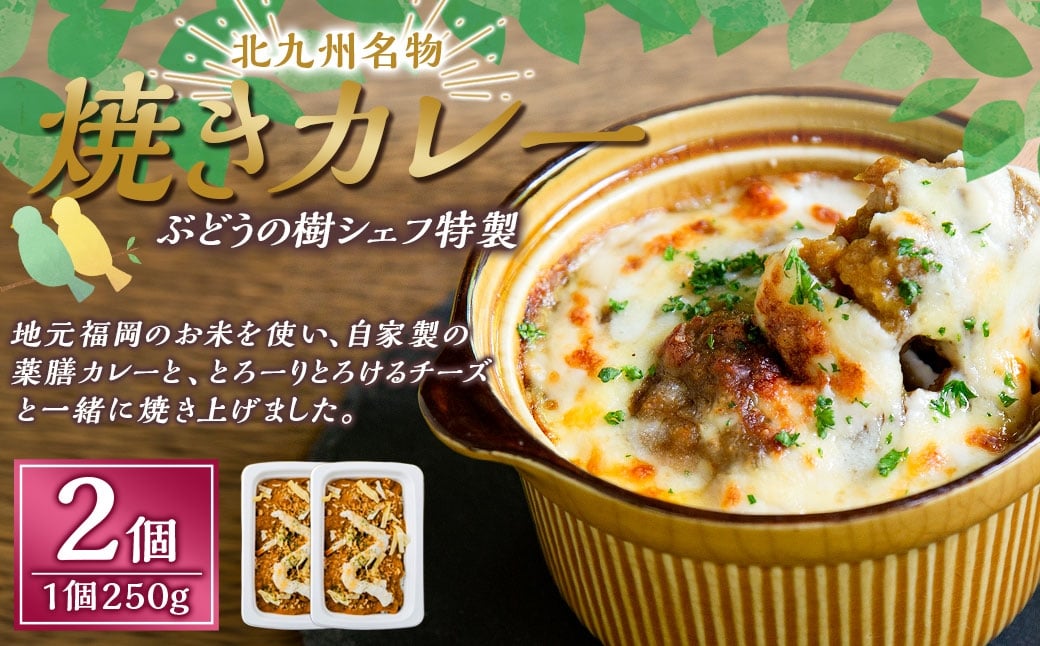 【カレー】 ぶどうの樹シェフ特製 選べるパスタ・グラタン2個セット 焼きカレー カレー カレーライス 冷凍カレー 薬膳カレー 冷凍 福岡県 岡垣町
