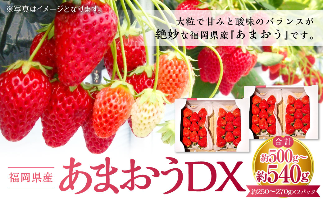 あまおうDX  約250-270g×2パック 苺 イチゴ あまおうデラックス あまおう 果物 くだもの フルーツ 【2027年2月上旬～4月下旬発送予定】