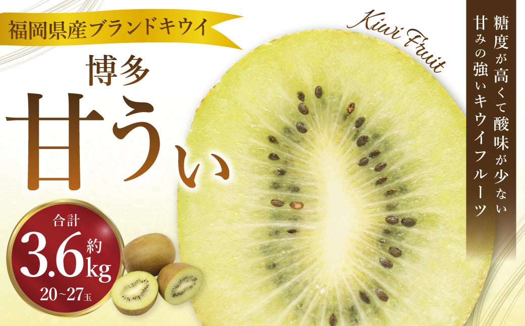 博多甘うぃ（キウイフルーツ） 約3.6kg キウイ きうい フルーツ 果物 くだもの 果実 国産 【2025年11月上旬～11月下旬発送予定】