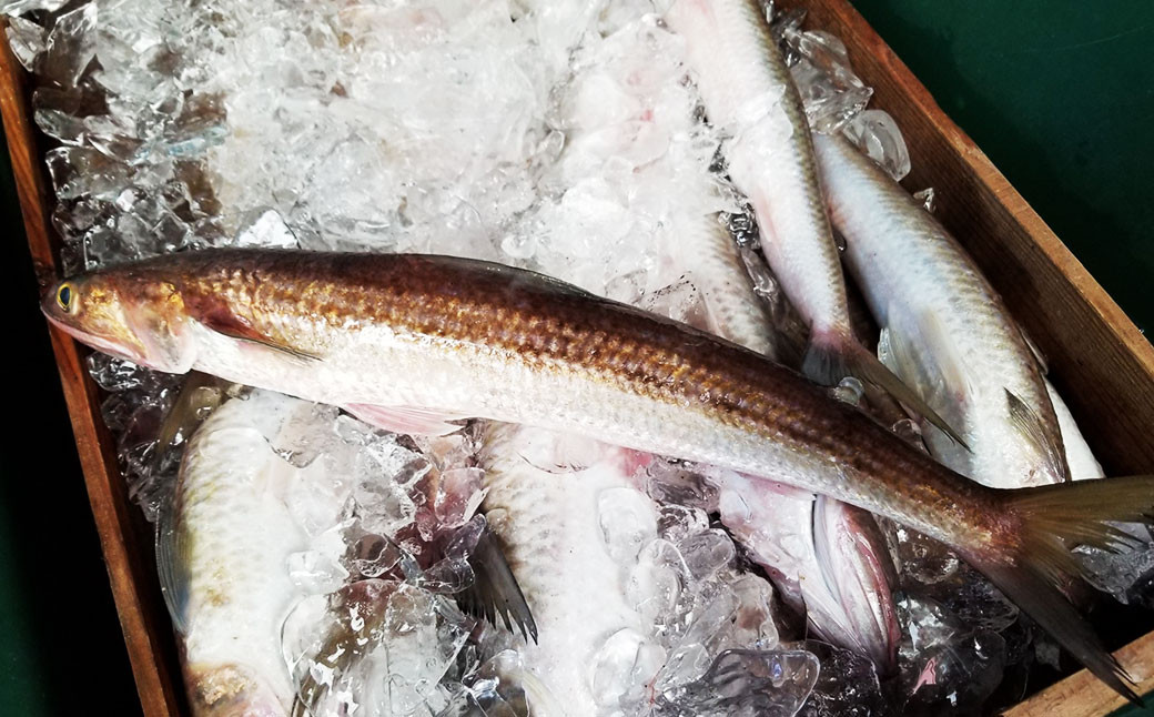 はつ天 （ピリ辛ミックス） 6個セット 天ぷら はつ ピリ辛 魚肉 おかず 練り物 福岡県 岡垣町