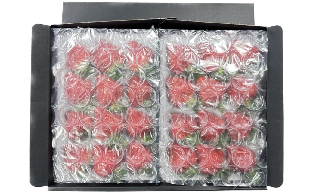 ã®ããé
é çŠå²¡çç£ããŸãã EX çŽ450gÃ2ãã㯠ãç¹å¥æ œå¹ããã¡ã ã€ããŽ èº ãã ãã® æç© ãã«ãŒã å·èµ çŠå²¡ç ã2026幎1æäžæ¬ïœ3æäžæ¬çºéäºå®ã