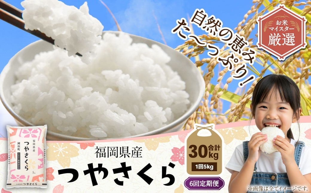 【6ヶ月定期便】福岡県産つやさくら 5kg 岡垣町 ふるさと納税返礼品 お米 こめ 精米 ご飯 ごはん 国産 定期便