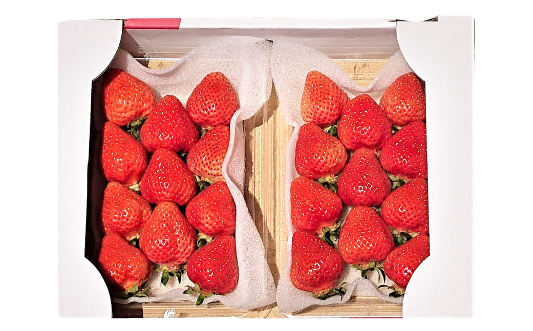 æ¥ã®ããŸãã(2Lã»2Aã»GèŠæ Œä»¥äž 6ããã¯)ãæ°ééå®ã ããŸãã ãã¡ã ã€ããŽ èº æç© ãã ãã® ãã«ãŒãã2026幎3æäžæ¬ïœ4æäžæ¬çºéäºå®ã