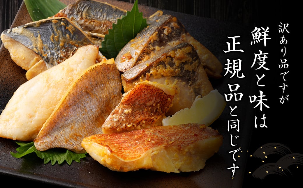 【訳あり】西京漬け（味噌漬け）セット 照り焼き用たまり醤油漬け 26切れ 種類おまかせ 魚介 お魚 テリヤキ みそ焼き 波津漁港 