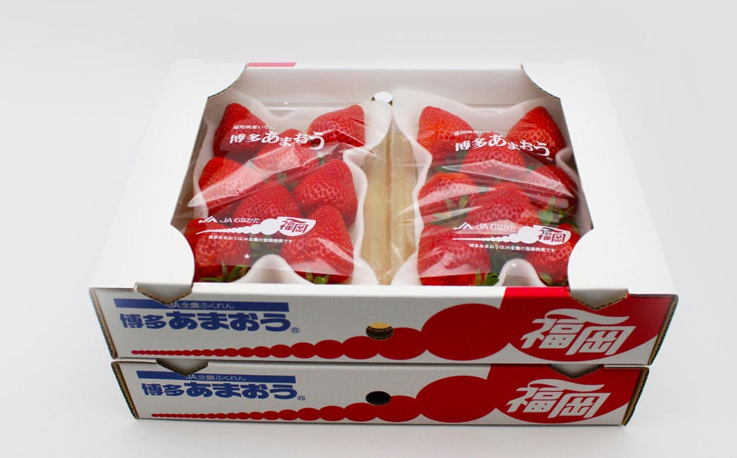 博多あまおう2パック（春） 250g～270g×2パック 合計約500g～540g あまおう いちご 苺 イチゴ フルーツ 果物 くだもの【2026年2月上旬-4月下旬発送予定】