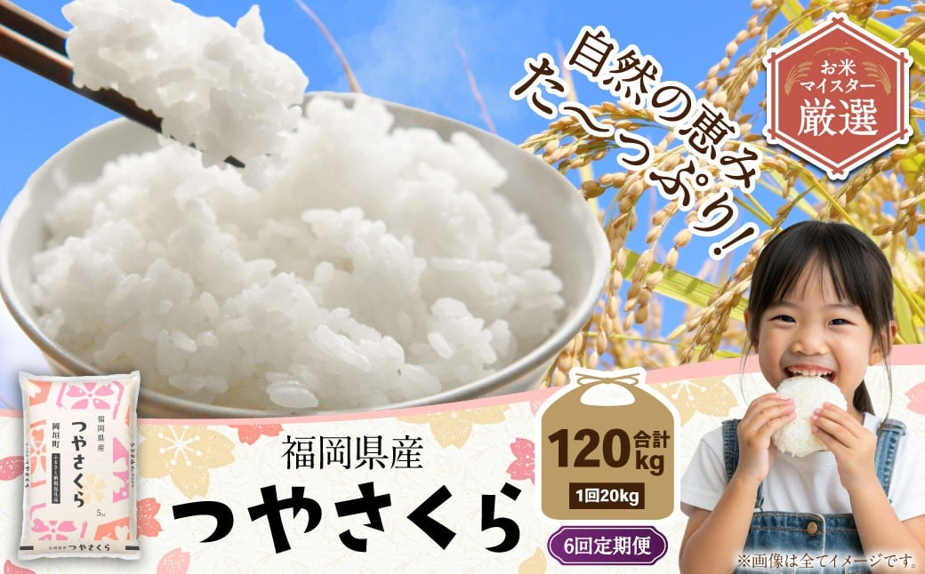 【6ヶ月定期便】福岡県産つやさくら 20kg 岡垣町 ふるさと納税返礼品 お米 こめ 精米 ご飯 ごはん 国産 定期便
