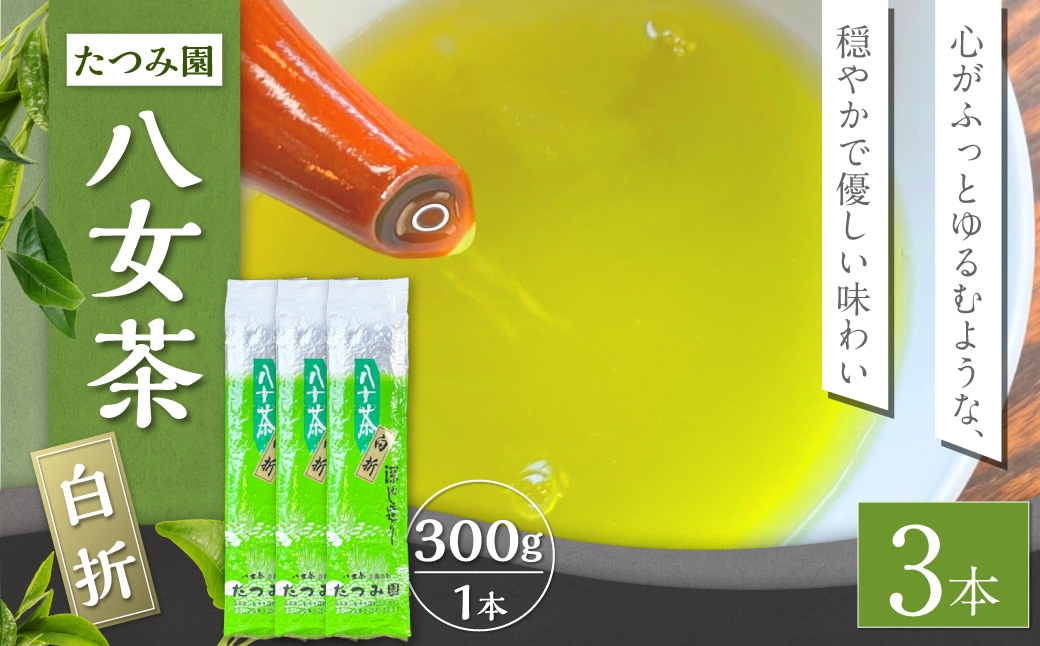 八女茶 たつみ園白折 300g 3本セット お茶 緑茶 国産 福岡県産 茶葉