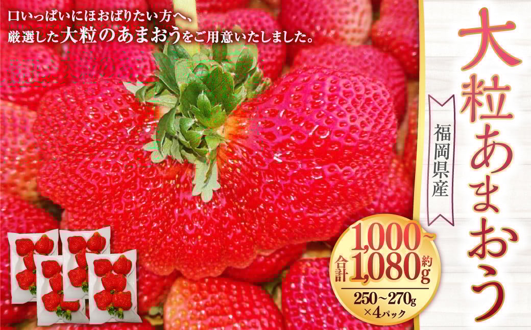 大粒あまおう 4パック あまおう いちご イチゴ 苺 果物 くだもの フルーツ【2026年2月上旬～4月上旬発送予定】