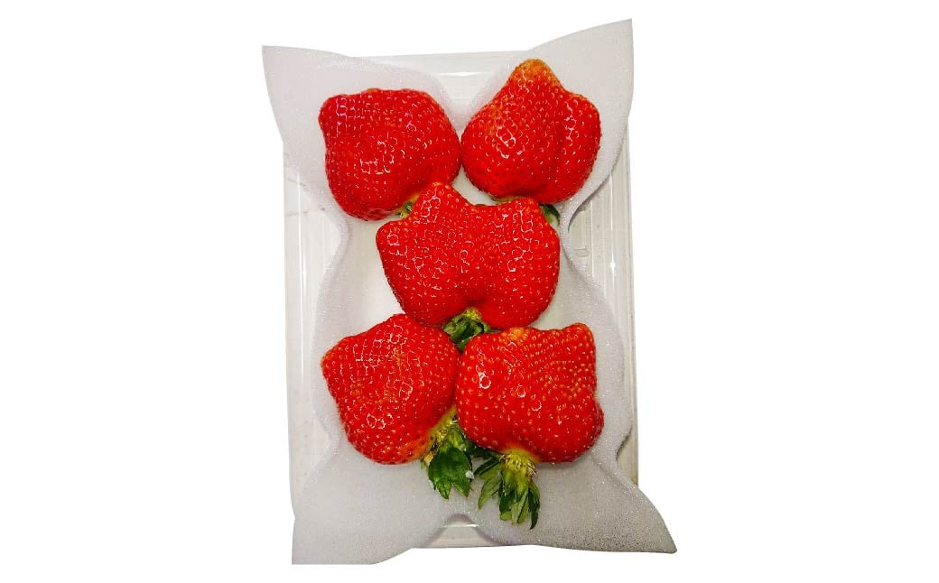 大粒あまおう 4パック あまおう いちご イチゴ 苺 果物 くだもの フルーツ【2026年2月上旬～4月上旬発送予定】