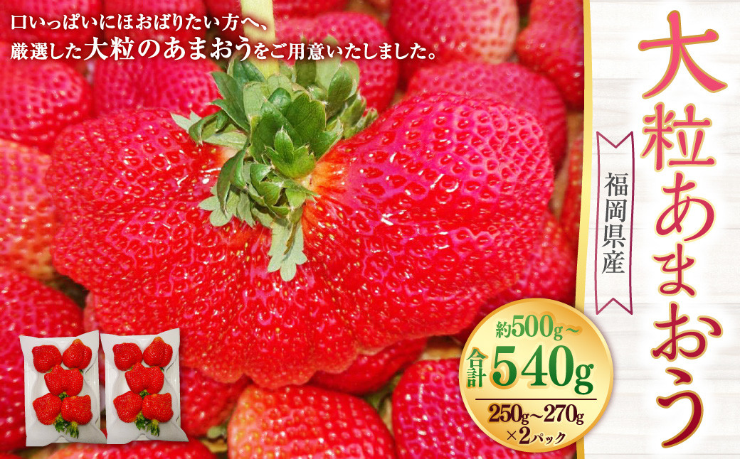 大粒あまおう 2パック あまおう いちご イチゴ 苺 果物 くだもの フルーツ【2026年2月上旬～4月上旬発送予定】
