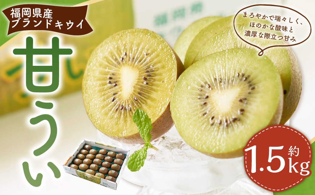 福岡県産ブランドキウイ・甘うぃ 約1.5kg （12-15玉） キウイ キウイフルーツ 果物 くだもの フルーツ 常温 国産 岡垣町 【2026年10月下旬～12月上旬発送予定】