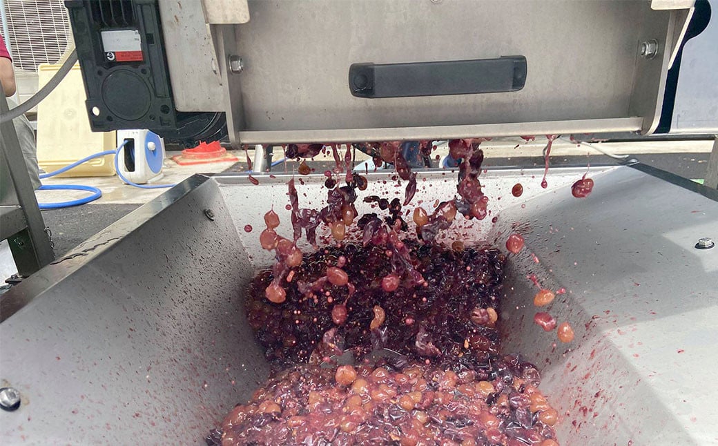 夢のワイナリー落成記念♪ 新酒ワイン(赤)×4本