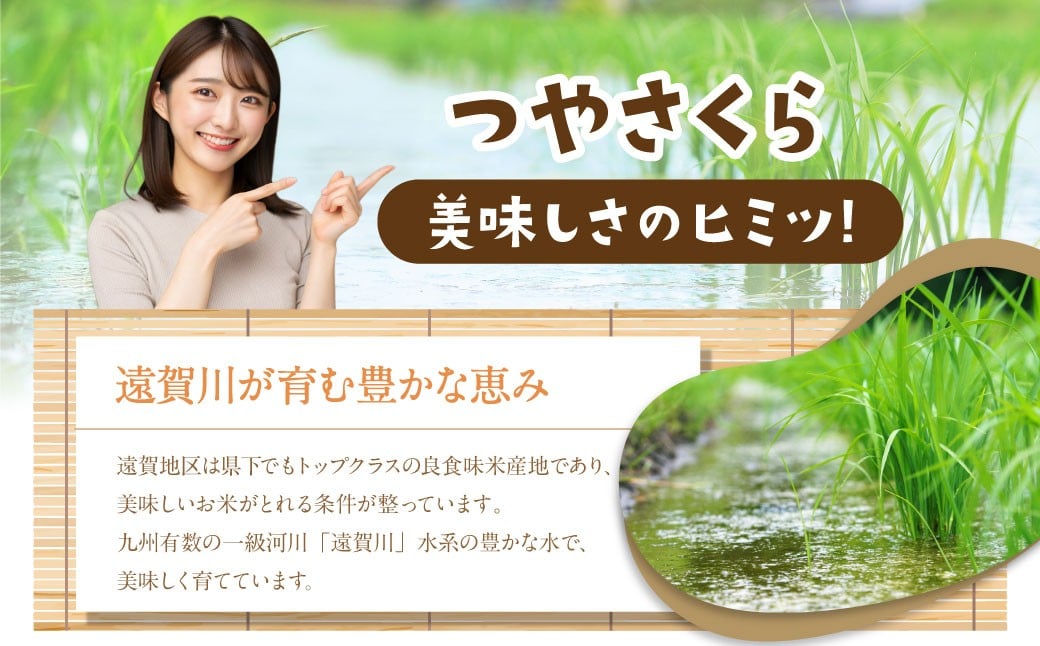 ã3ã¶æå®æäŸ¿ãçŠå²¡çç£ã€ãããã 20kg 岡å£çº ãµãããšçŽçšè¿ç€Œå ãç±³ ãã 粟米 ã飯 ãã¯ã åœç£ å®æäŸ¿