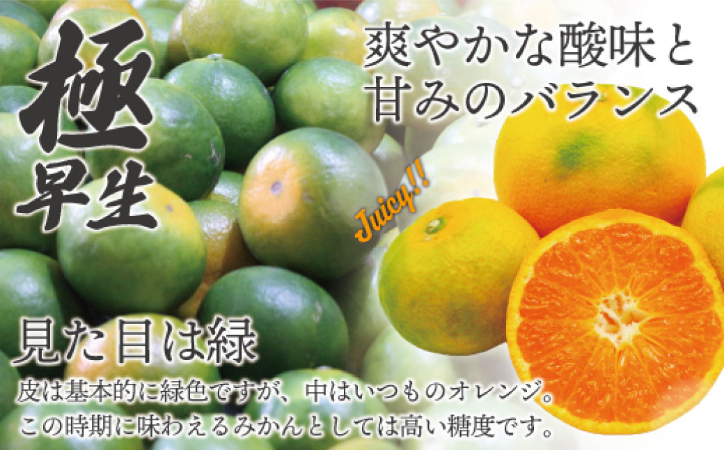 福岡県ブランドみかん「早味かん」3kg みかん オレンジ 果物 フルーツ 冷蔵 福岡県産【2026年9月下旬-10月下旬発送予定】