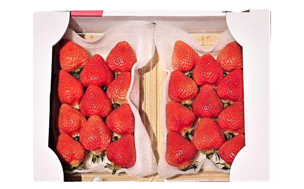 æ¥ã®ããŸãã 2Lã»2Aã»GèŠæ Œä»¥äž çŽ250-270gÃ4ããã¯ èº ã€ã㎠ããŸãã ãã ãã® æç© ãã«ãŒã ã2026幎3æäžæ¬ïœ4æäžæ¬çºéäºå®ã