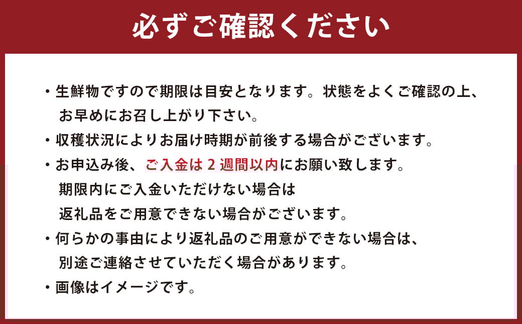 博多あまおう2パック（春） 250g～270g×2パック 合計約500g～540g あまおう いちご 苺 イチゴ フルーツ 果物 くだもの【2026年2月上旬-4月下旬発送予定】