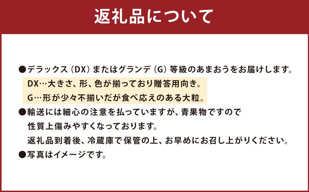 福岡産【冬】あまおう2パック いちご 苺 イチゴ 果物 くだもの フルーツ 冷蔵 【2025年12月上旬～2026年1月下旬発送予定】