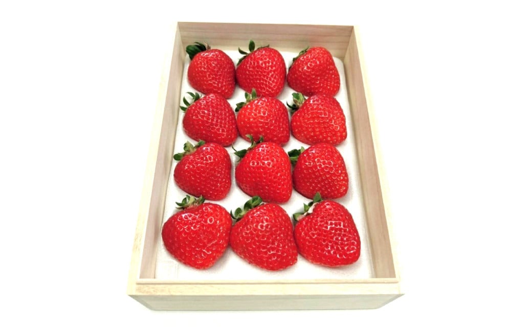 ãã£ãã·ã¥ããã¯ã¹çš ç¹å¥ä»æ§ã®æ¡ç®±å
¥ã ãã¬ãã¢ã ããŸãã çŽ400gÃ1ãã㯠ãã®ããã»ãç¥ãã»èŽççšãã2026幎2æäžæ¬ïœ4æäžæ¬çºéäºå®ã