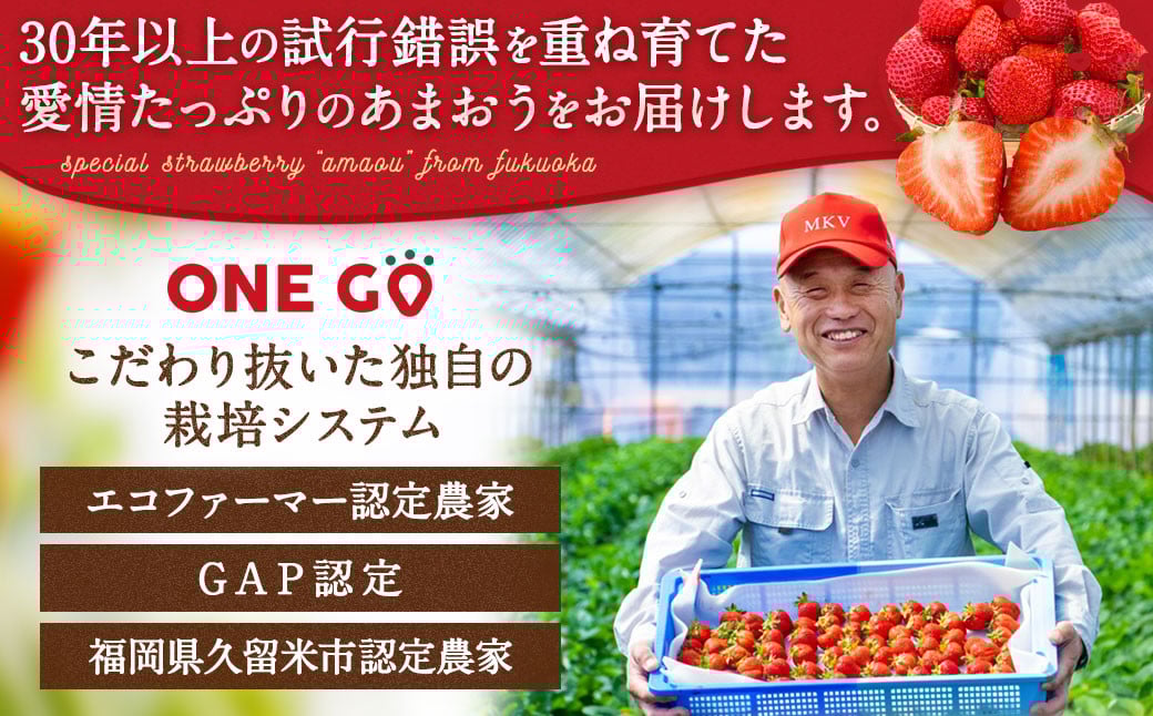 ãå¯é顿¹å®âããäºçŽåä»ãéžã¹ã倧容éããŸãã 1,680g å€§ç² äžæã éžã¹ã倧容éããŸãã ïŒ2L,ã°ã©ã³ã,DX ãã©ãã¯ã¹ïŒæžèŸ²è¬ ããŸãã ãã¡ã é«çŽ ãã¡ãããŸãã ã€ããŽ èº ãã«ãŒã æç© ãµãããšçŽçšãã ãã® amaou çŠå²¡ç ã2026幎2æäžæ¬ïœäžæ¬çºéäºå®ã