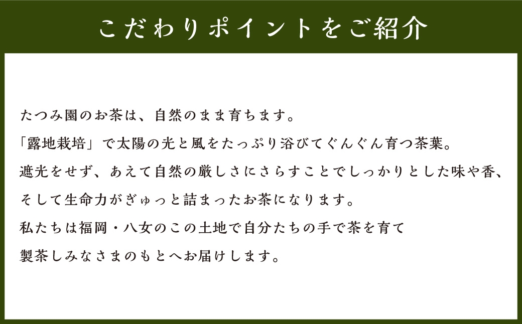 å
«å¥³è¶ RoojiïŒ ç
è¶ãã£ãŒããã° Ã 3å ãè¶ ç
è¶ ç·è¶ ãã£ãŒããã° åœç£ çŠå²¡çç£