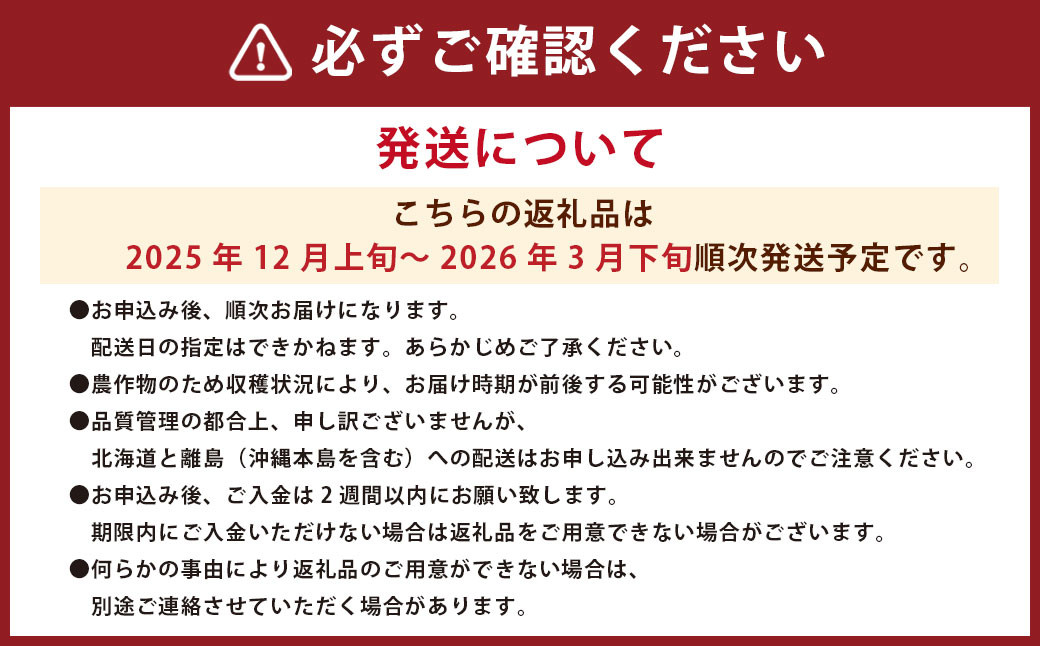 福岡県産あまおう ギフト箱 24-30粒 いちご 苺 イチゴ くだもの 果物 フルーツ 冷蔵 【2025年12月上旬～2026年3月下旬発送予定】