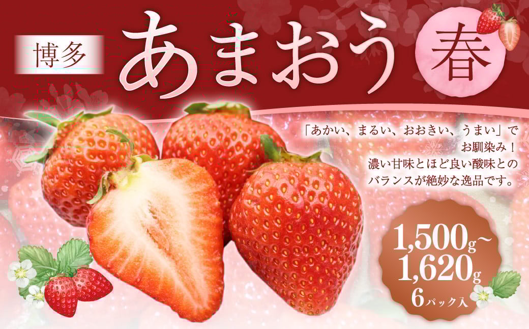 博多あまおう6パック（春） 250g～270g×6パック 合計約1500g～1620g あまおう いちご 苺 イチゴ フルーツ 果物 くだもの【2026年2月上旬-4月下旬発送予定】
