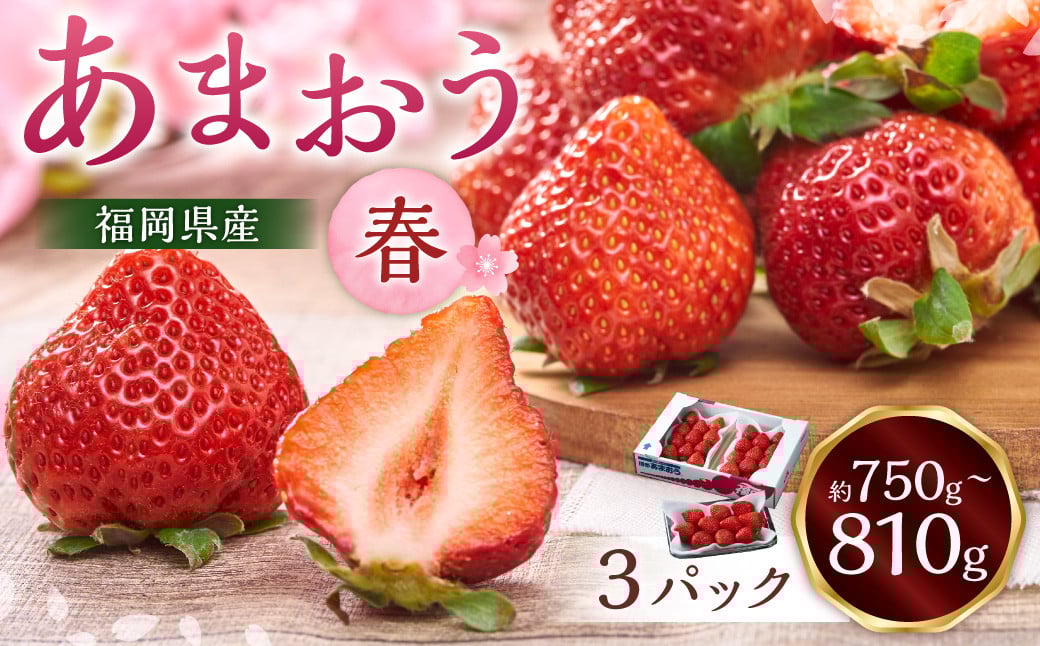 福岡産【春】あまおう3パック いちご 苺 イチゴ 果物 くだもの フルーツ 冷蔵 【2026年2月上旬～3月下旬発送予定】