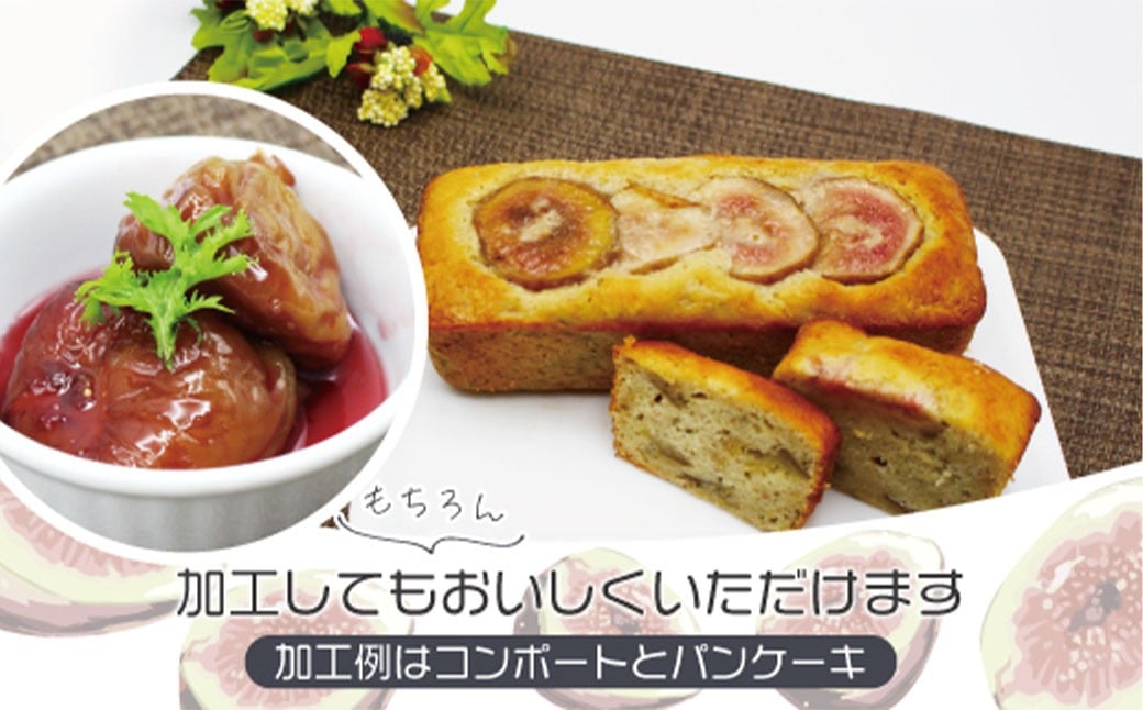 訳あり冷凍いちじく「とよみつひめ」3kg 冷凍 いちじく イチジク フルーツ くだもの 果物