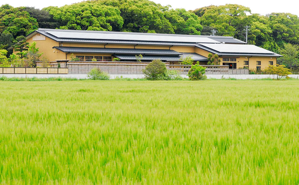 ã¶ã©ãã®æš¹å²¡å£æ¬åºã§éžã¹ãïŒãã¢ãé£äºåžããªãŒã¹ãªã³ã°ã³ãŒã¹ã ãé£äºåž é£äºåž é£äº ã㢠ãã¢é£äºåž ãã±ãã ãã¢ãã±ãã éã®åºµ 森ã®ã¬ã¹ãã©ã³