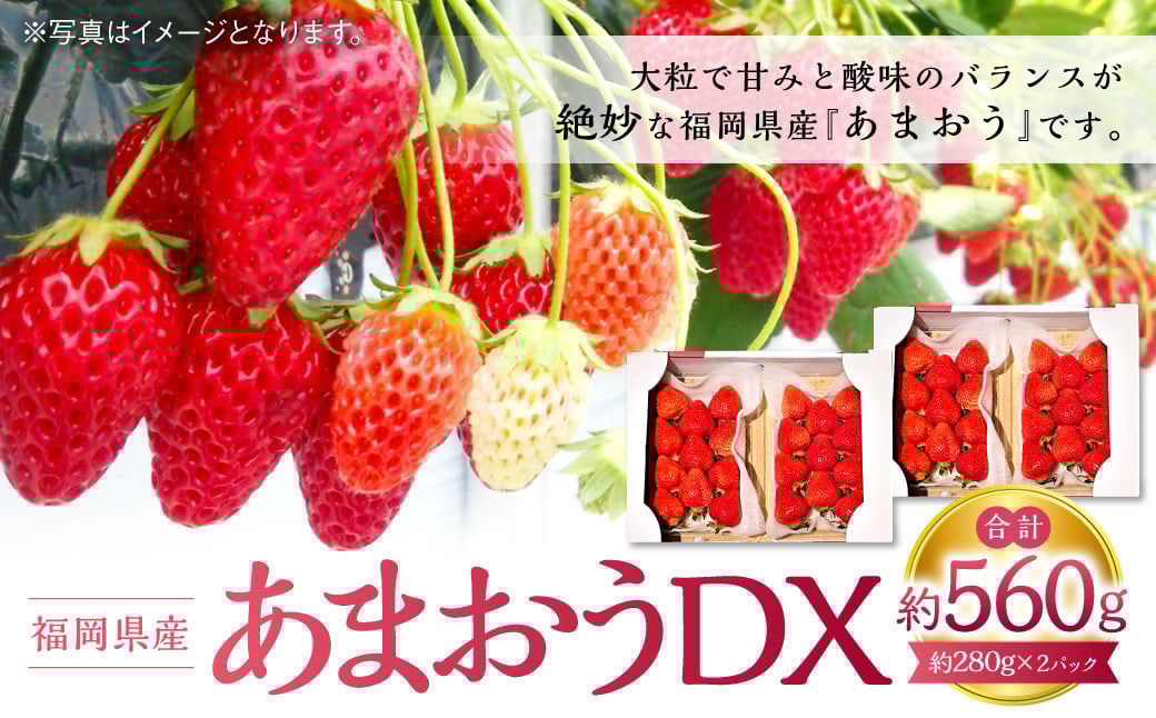 あまおうDX 約280g×2パック 苺 イチゴ あまおうデラックス あまおう 果物 くだもの フルーツ 【2026年2月上旬～4月上旬発送予定】