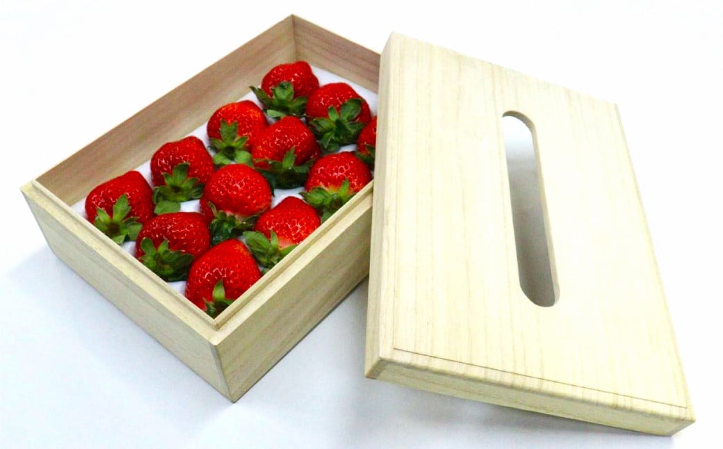 ãã£ãã·ã¥ããã¯ã¹çš ç¹å¥ä»æ§ã®æ¡ç®±å
¥ã ãã¬ãã¢ã ããŸãã çŽ400gÃ1ãã㯠ãã®ããã»ãç¥ãã»èŽççšãã2026幎2æäžæ¬ïœ4æäžæ¬çºéäºå®ã