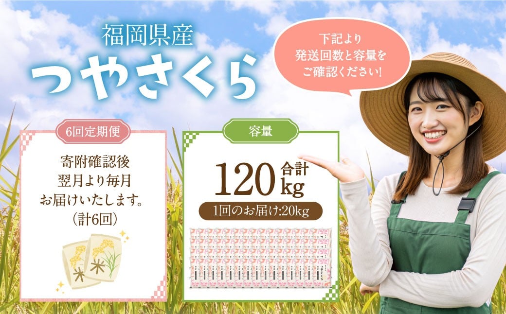 ã6ã¶æå®æäŸ¿ãçŠå²¡çç£ã€ãããã 20kg 岡å£çº ãµãããšçŽçšè¿ç€Œå ãç±³ ãã 粟米 ã飯 ãã¯ã åœç£ å®æäŸ¿