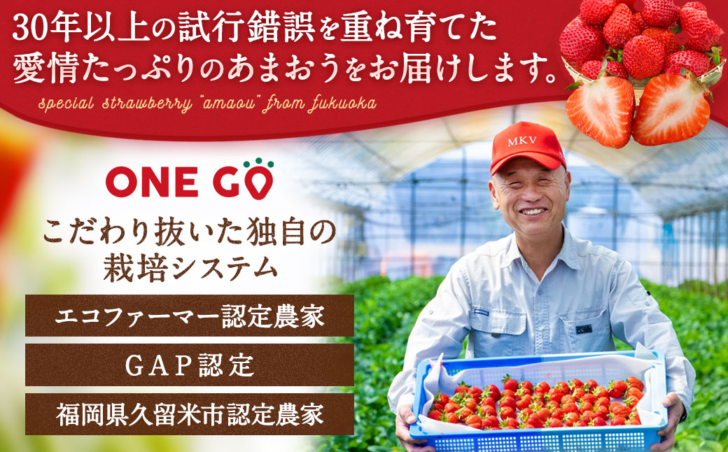 【予約受付】大容量あまおう 1,400g 大粒 不揃い 選べる大容量あまおう （2L,グランデ,DX デラックス）減農薬 あまおう いちご 高級 いちごあまおう イチゴ 苺 フルーツ 果物 ふるさと納税くだもの amaou 福岡県  【2026年3月上旬～下旬発送予定】