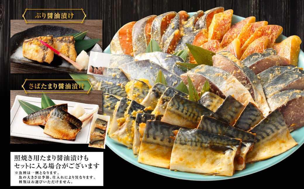 【訳あり】西京漬け（味噌漬け）セット 照り焼き用たまり醤油漬け 42切れ 種類おまかせ 魚介 お魚 テリヤキ みそ焼き 波津漁港