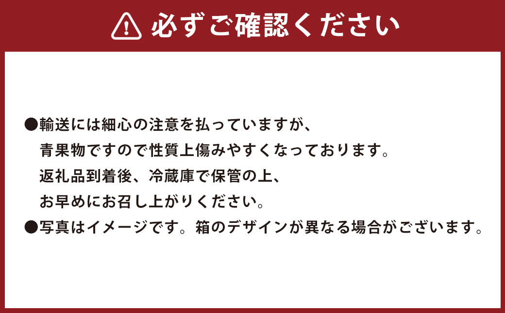 福岡県産あまおう ギフト箱 12-15粒 いちご 苺 イチゴ くだもの 果物 フルーツ 冷蔵 【2025年12月上旬～2026年3月下旬発送予定】