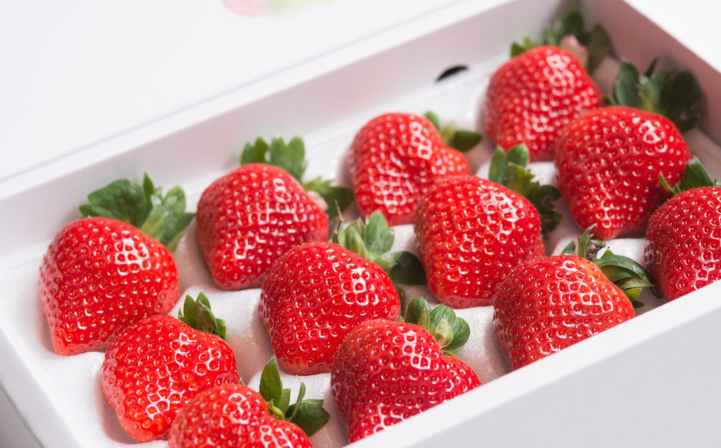 福岡県産あまおう ギフト箱 24-30粒 いちご 苺 イチゴ くだもの 果物 フルーツ 冷蔵 【2025年12月上旬～2026年3月下旬発送予定】