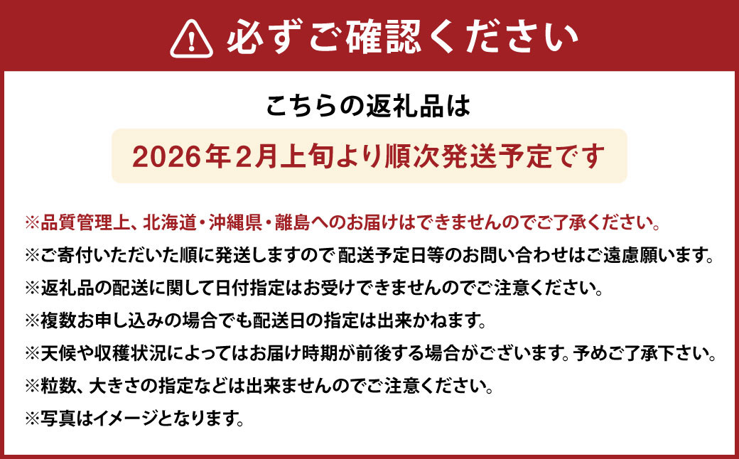 化粧箱入りプレミアムあまおう 約400g×1パック【ギフト・お祝い・贈答用】 あまおう いちご イチゴ 苺 果物 くだもの フルーツ【2026年2月上旬～4月上旬発送予定】