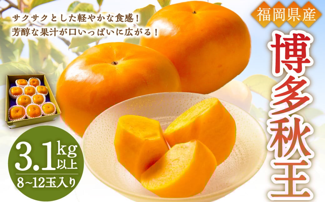 【優等品】福岡県産 博多秋王 約3.1kg以上(8玉～12玉入り) 果物 フルーツ 柿 かき 【2025年10月上旬～11月下旬発送予定】