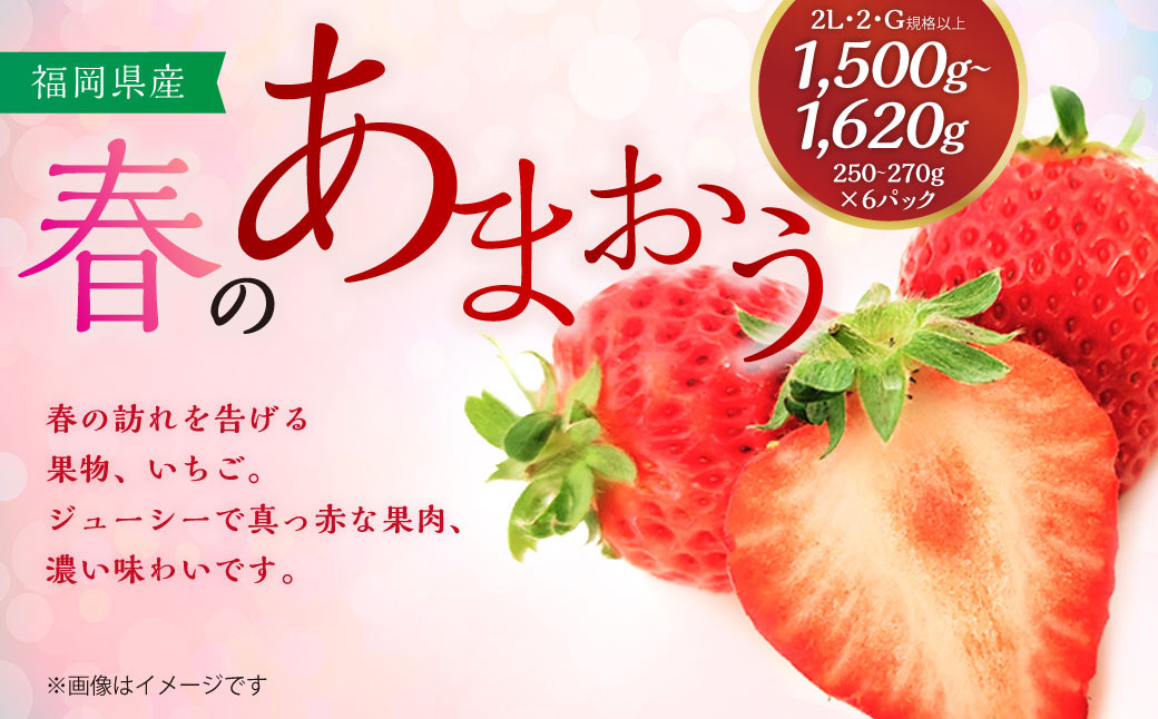 春のあまおう(2L・2A・G規格以上 6パック)【数量限定】 あまおう いちご イチゴ 苺 果物 くだもの フルーツ【2026年3月上旬～4月下旬発送予定】