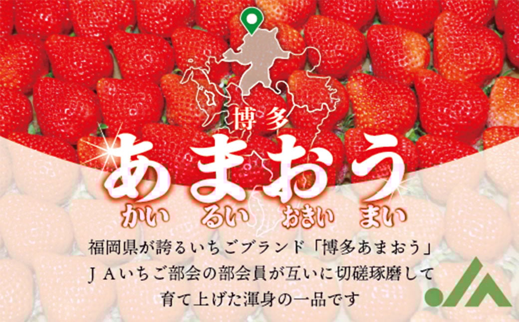 博多あまおう2パック（春） 250g～270g×2パック 合計約500g～540g あまおう いちご 苺 イチゴ フルーツ 果物 くだもの【2026年2月上旬-4月下旬発送予定】