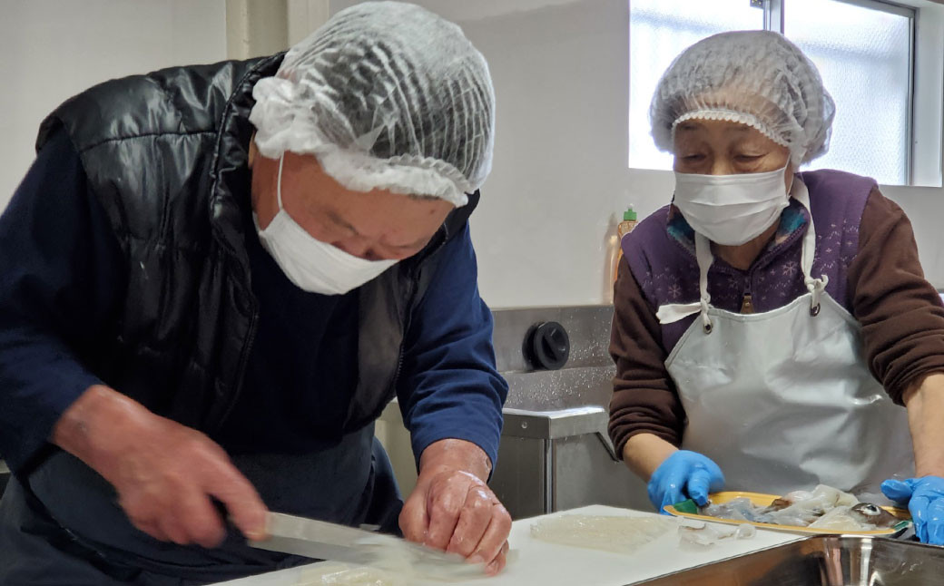 エソすり身 （はつ天） 500g×2袋 味付け済み（加熱調理用） すり身 魚肉 エソ 福岡県 岡垣町