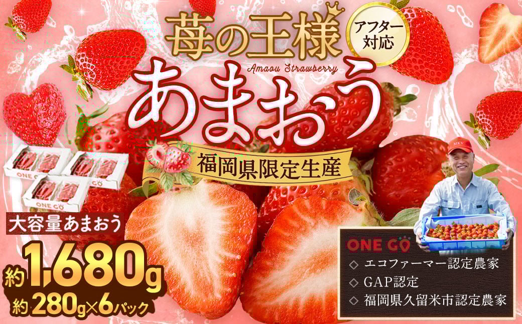 【寄附額改定↓】【予約受付】選べる大容量あまおう 1,680g 大粒 不揃い 選べる大容量あまおう （2L,グランデ,DX デラックス）減農薬 あまおう いちご 高級 いちごあまおう イチゴ 苺 フルーツ 果物 ふるさと納税くだもの amaou 福岡県 【2026年1月上旬～下旬発送予定】