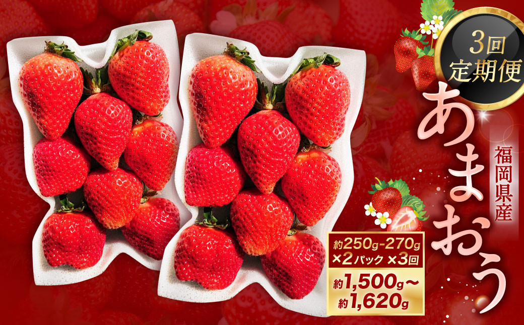 【3ヶ月定期便】あまおう2パック×3回発送 あまおう いちご イチゴ 苺 果物 くだもの フルーツ【2026年2月上旬～4月上旬発送予定】